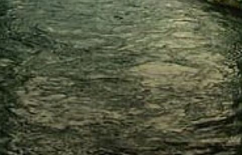 粉象生活和淘宝什么关系