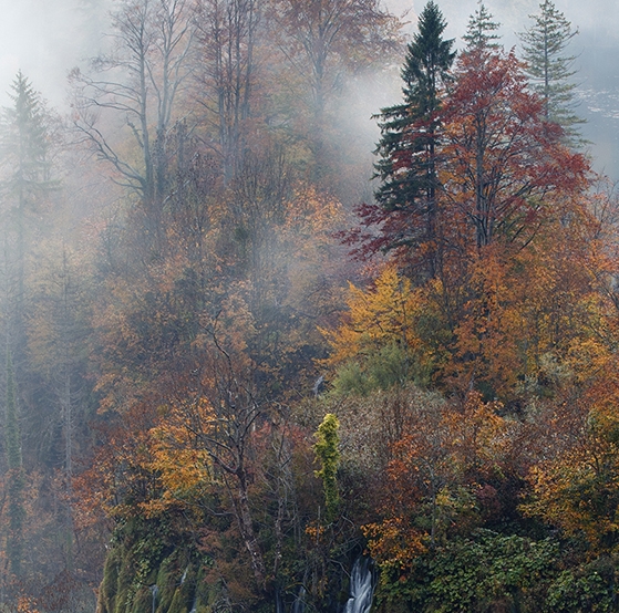 粉象生活合法吗