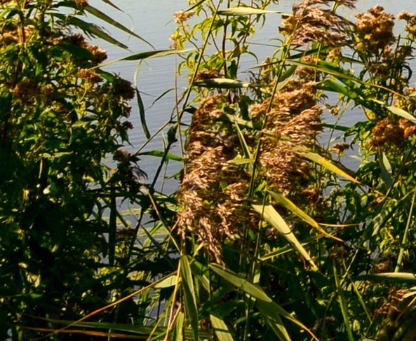 粉象生活开通收益