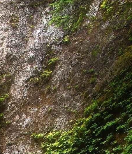 潮州粉象生活加盟代理