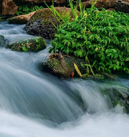 台州选择粉象生活在线咨询
