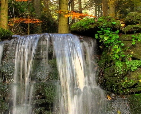 粉象生活新手怎么做