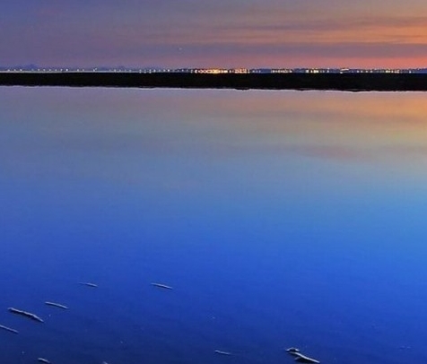 广州粉象生活科技有限公司