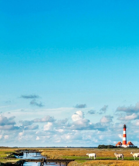 粉象生活邀请码