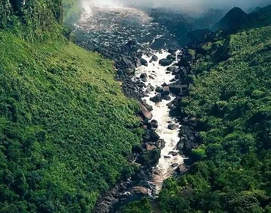 南通粉象生活代理