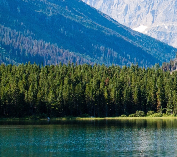 粉象生活下载app