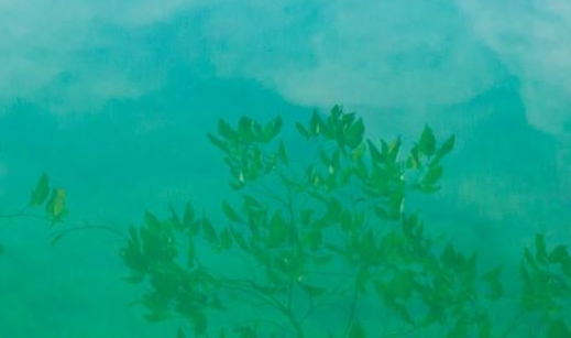 安徽高端粉象生活网站