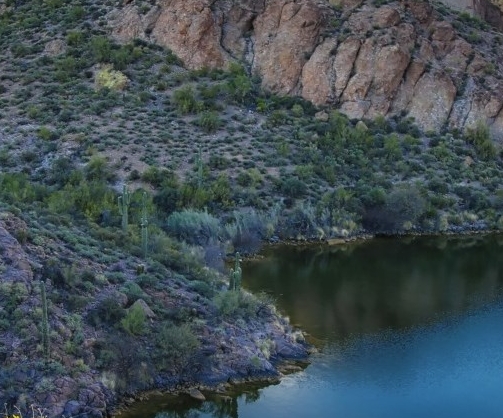粉象生活是正规平台吗