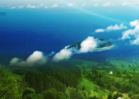 粉象生活赚钱教程