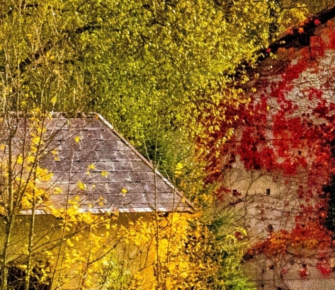 佛山粉象生活佣金