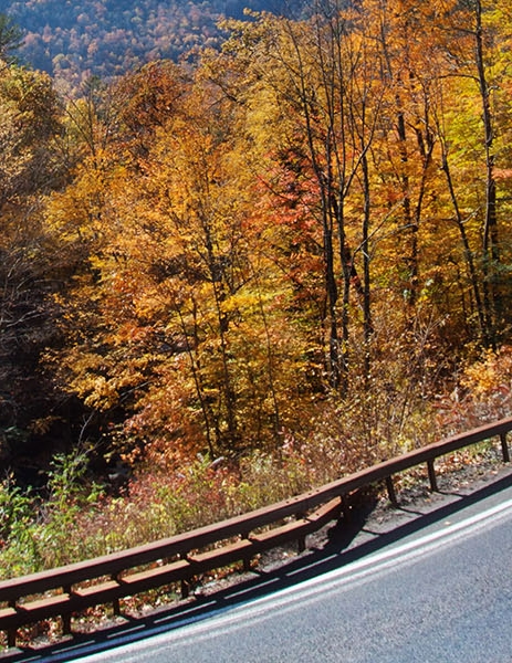 南京粉象生活收入