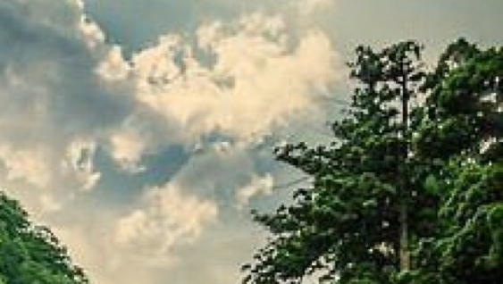 粉象生活的淘宝客是真的吗