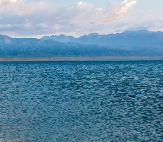 粉象生活官网电话