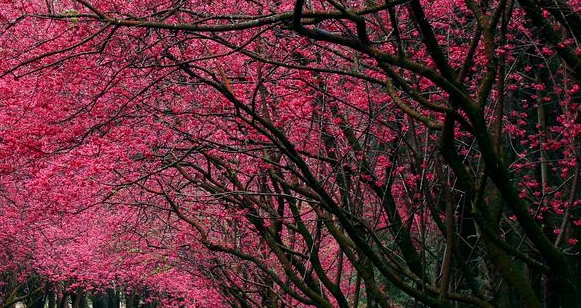 杭州粉象生活家科技有限公司