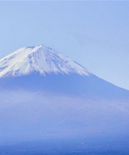 汕尾粉象生活如何使用