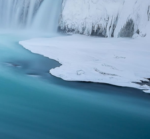 粉象世界app官方下载