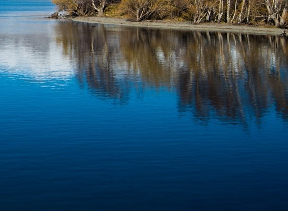 粉象返佣金是真的吗