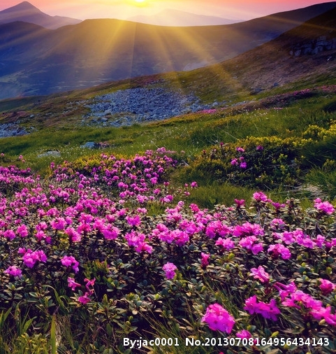 粉象生活更换头像