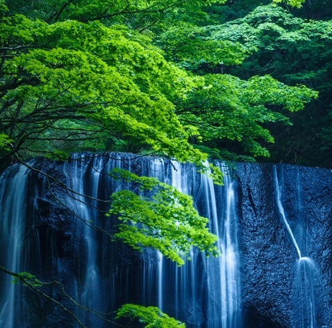 粉象生活下载app
