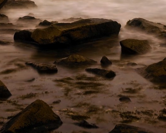 粉象生活可以赚钱吗