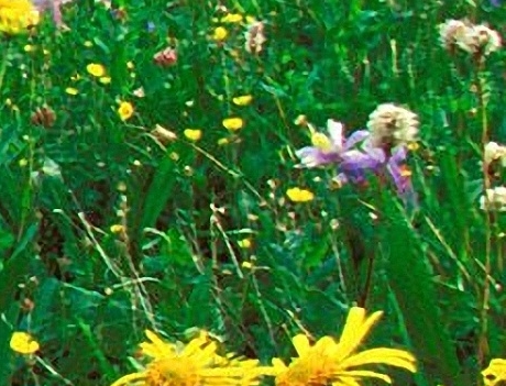 曹操从小到大的生活背景