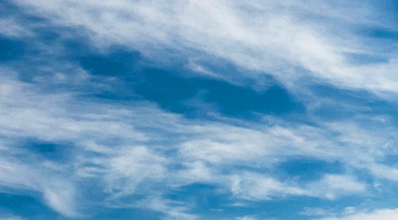 粉象生活是干嘛的