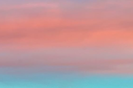 粉象生活和淘宝联盟哪个好