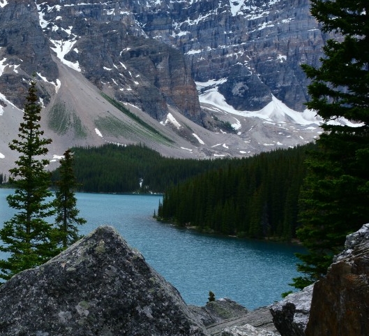 粉象生活可以赚钱吗