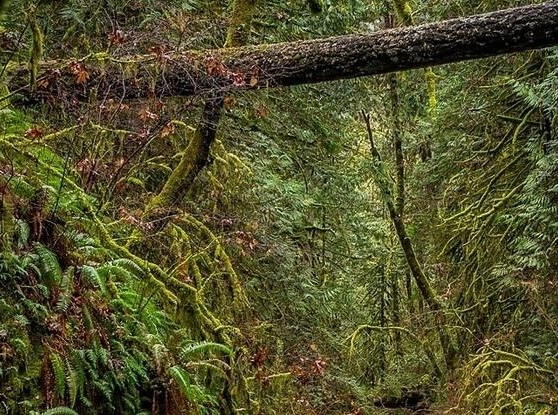 水瓶男跟你分享生活