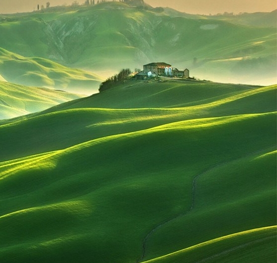 粉象生活邀请人专业码