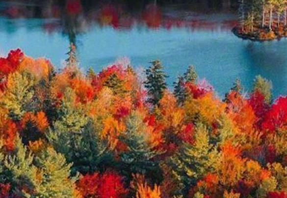 粉象生活是正规软件吗