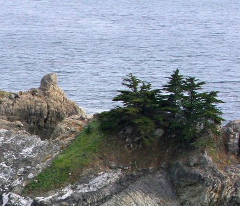 粉象生活赚钱教程