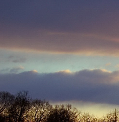 粉象生活可以赚钱吗