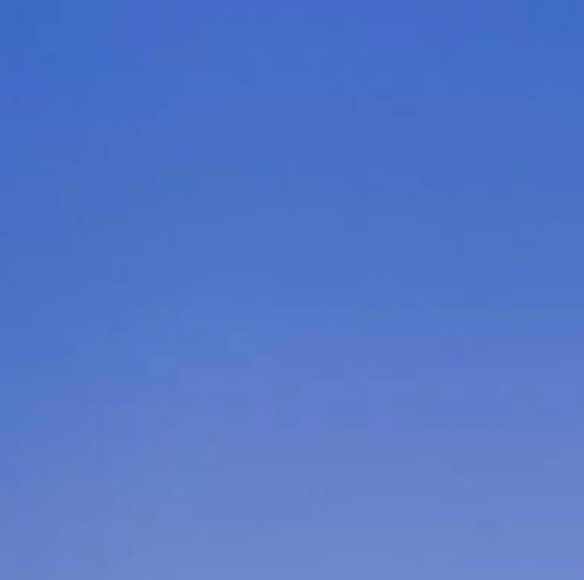 粉象生活下载app