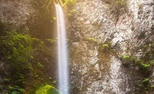 粉象生活真假鉴别