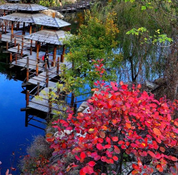 济宁粉象生活图片