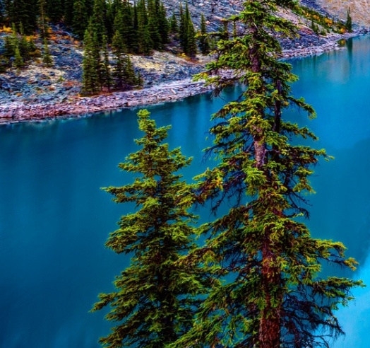 粉象生活怎么结算佣金的