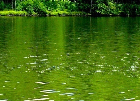 粉象生活怎么赚钱填j7ztkj送vip