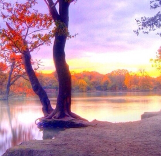 粉象生活能赚钱吗