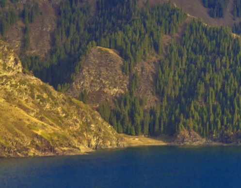 粉象生活刷佣金