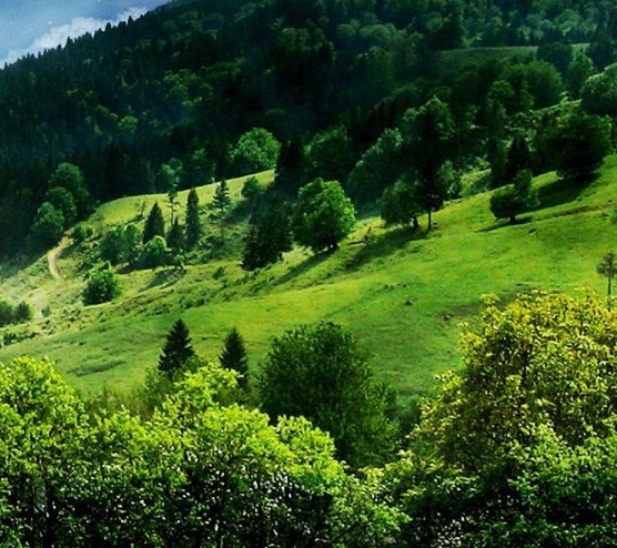 粉象生活月薪多少