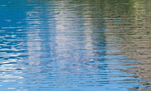 粉象生活是干什么的