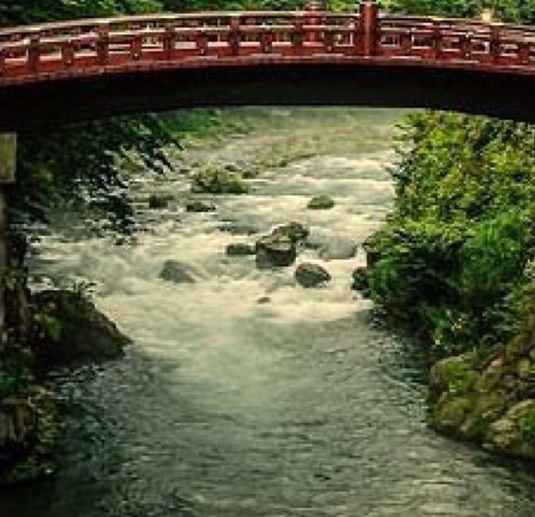 辽宁国熊药业熊胆粉