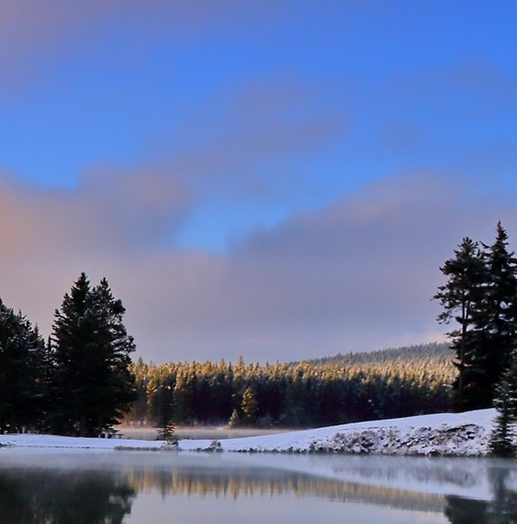 粉象生活定金产品