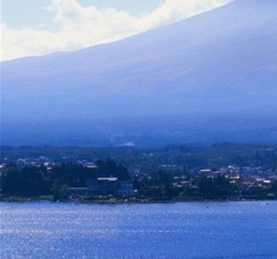 粉象生活礼包价值