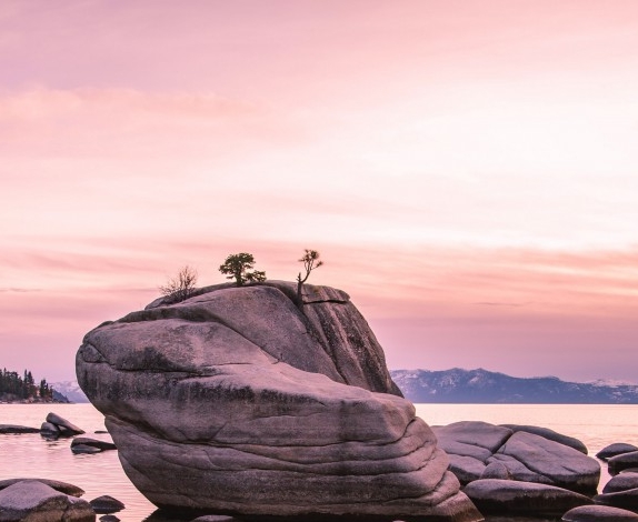 如何在粉象分享赚钱