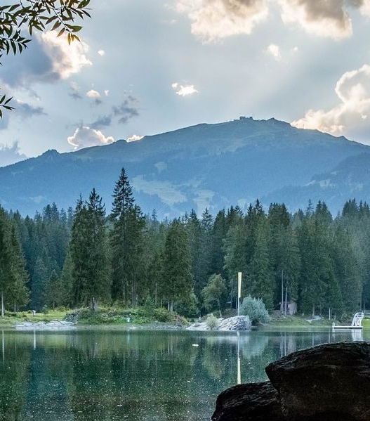 粉象生活下载app