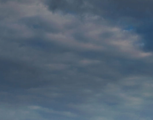 粉象生活新手怎么做