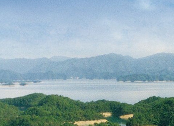 粉象生活下载了后怎么改变邀请码