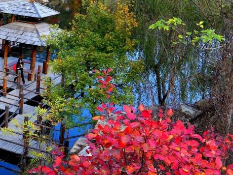 粉象生活app最新版